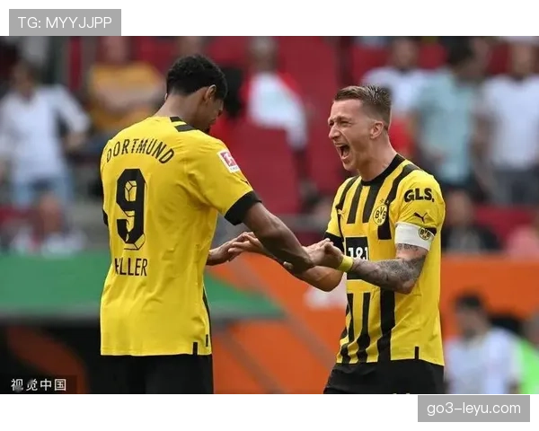 告别“拜仁专属”时代？多特蒙德用这套崛起密码，引发豪门重新洗牌！