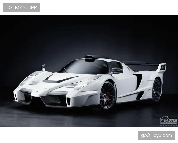 恩佐刚买了辆好几百万的豪车，邻居一看直接傻了眼，平时还挺低调的咋突然变这么奢侈？